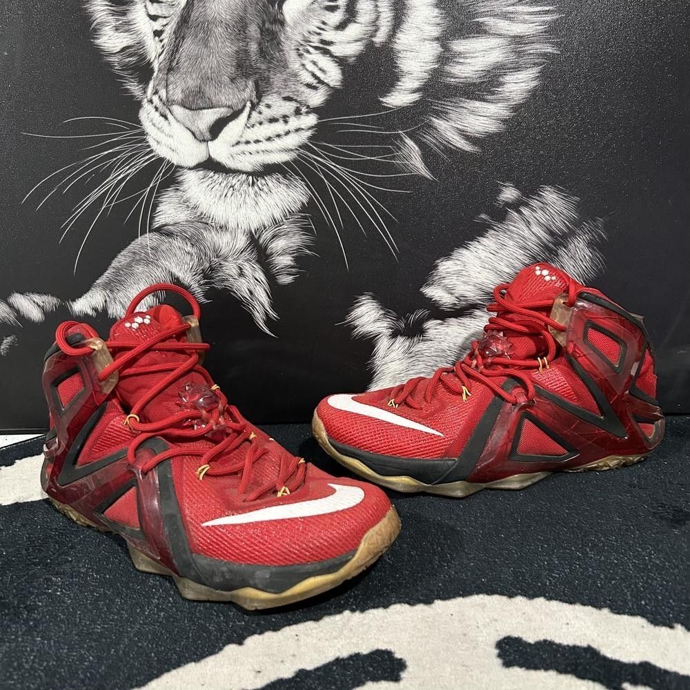 Nike LeBron 12 Elite 724559-618 Athletic Sneaker Men's 11 Red Basketball Sports